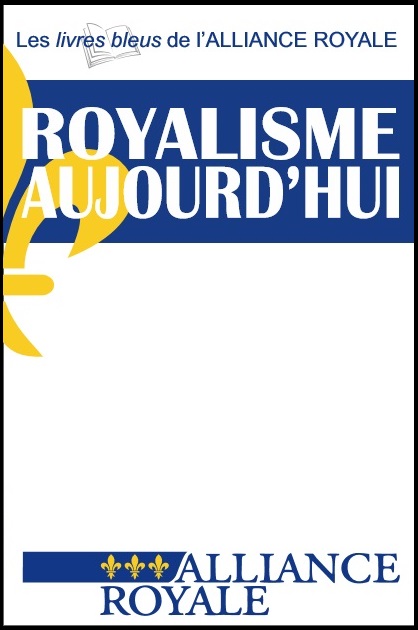 couverture livre bleu 2