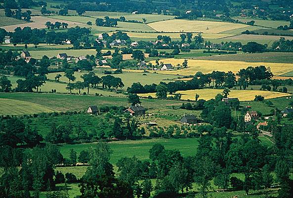 La révolution « (agri)culturelle »