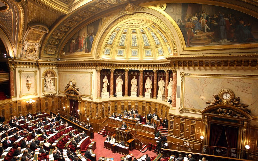 La sénat’titude